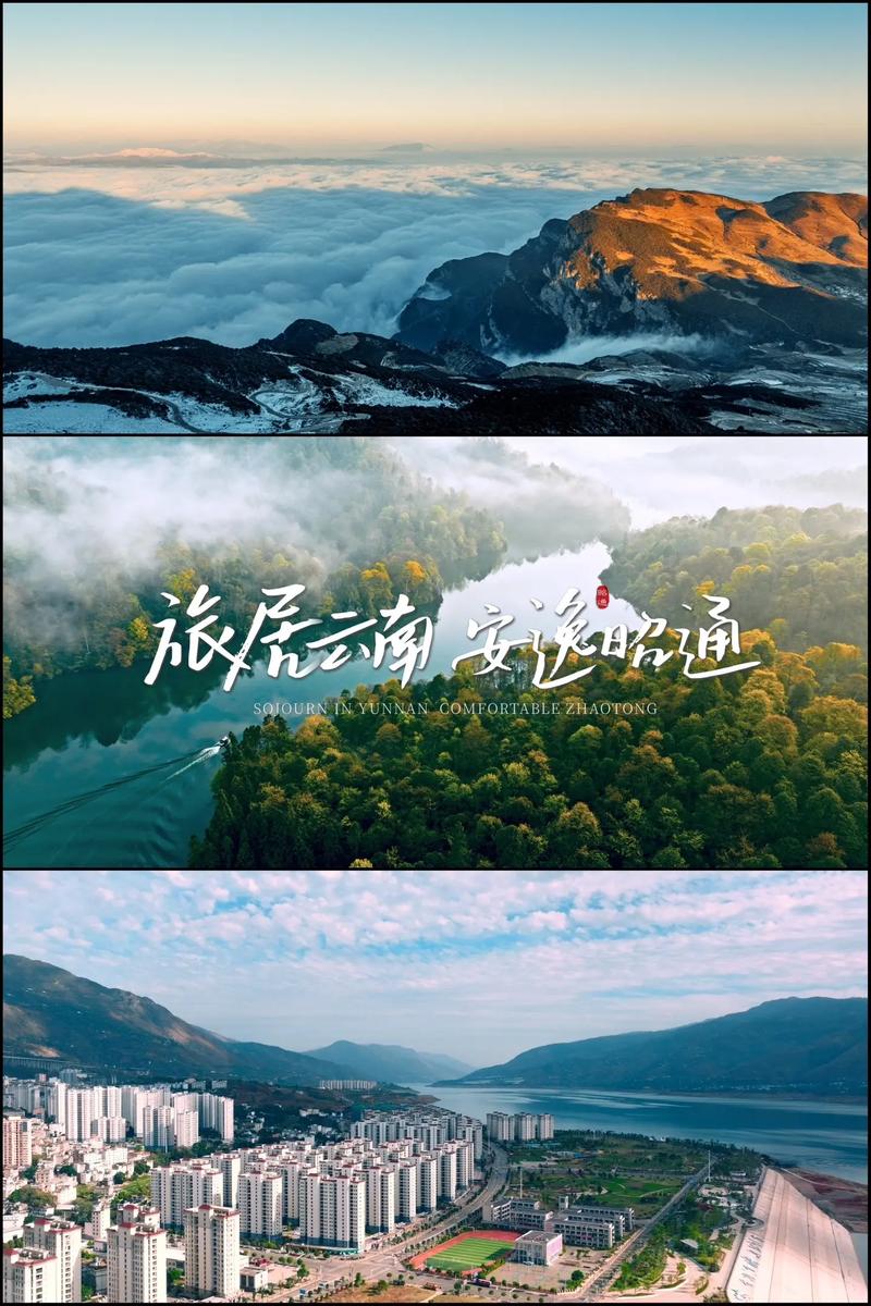 品牌策划：企业成长的新引擎